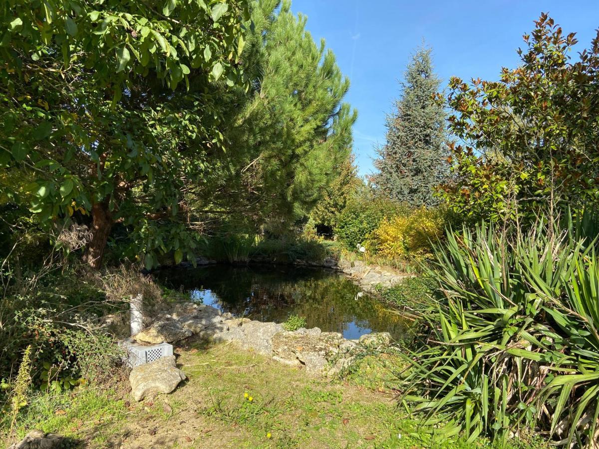 La Charmeraie : De Charme, Piscine Et Thesee